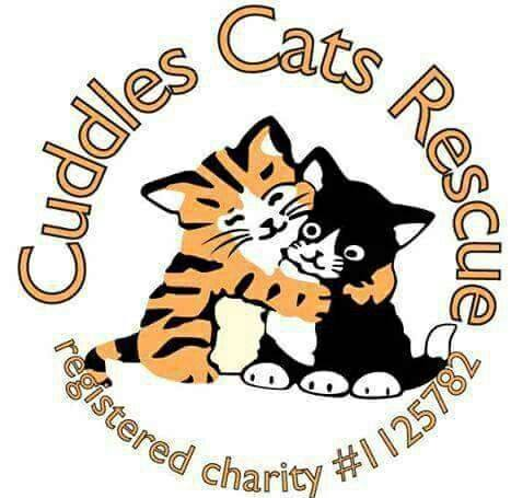 Cuddles Rescue Cats